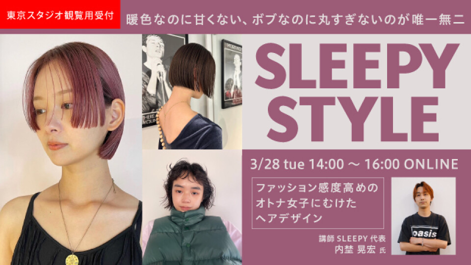 ヘアアレンジ一式 /ファッション 美容師 理容師 ヘアー シャンプー ヘアアレンジ一式 /ファッション 美容師 理容師 ヘアー シャンプー